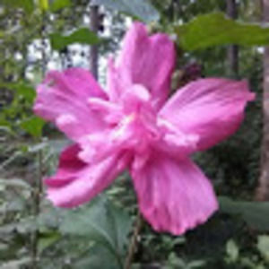 Meet your Posher, Louann